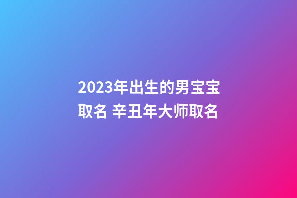 2023年出生的男宝宝取名 辛丑年大师取名